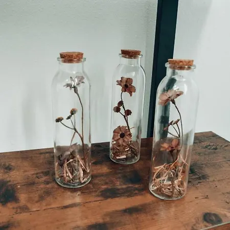 Apartment Ganze - Schönes Und Helles Loft In