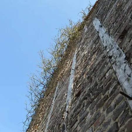 Apartment Ganze - Schönes Und Helles Loft In